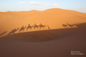 circuit-maroc-4x4-157V4Y4q1M
