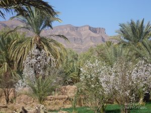 circuit-maroc-4x4-aFxz2iZV9D