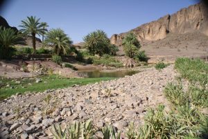 circuit-maroc-4x4-bAxL1xugbJ