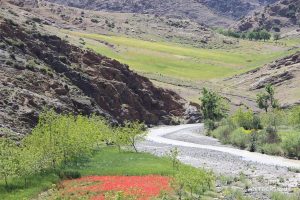 circuit-maroc-4x4-e0BJlyj425