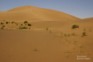 circuit-maroc-4x4-gf2NfPI7wC