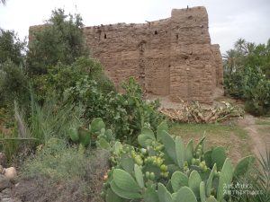 circuit-maroc-4x4-k1w4SLRttm